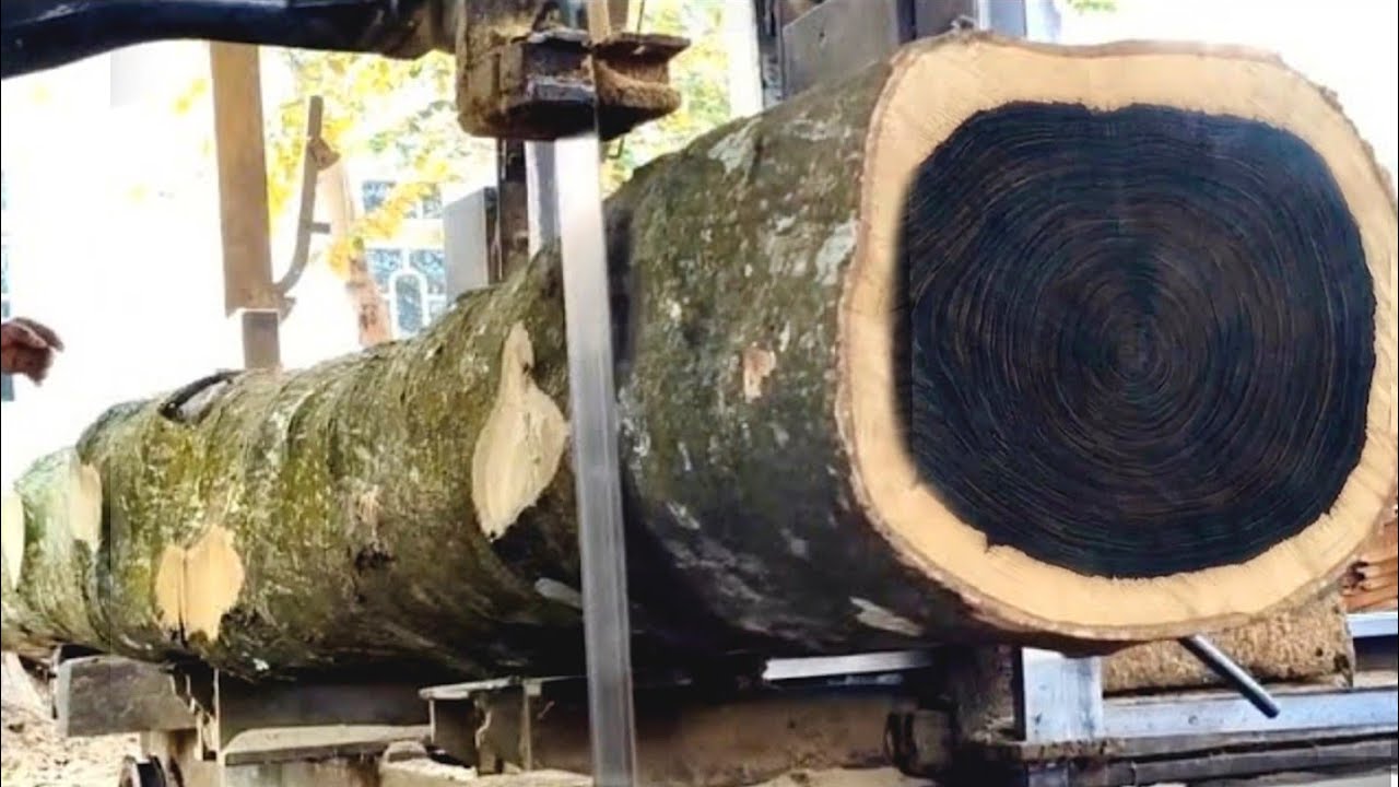 🌲Редкая древесина с самой длинной черной текстурой &mdash; на лесопилке🌲
