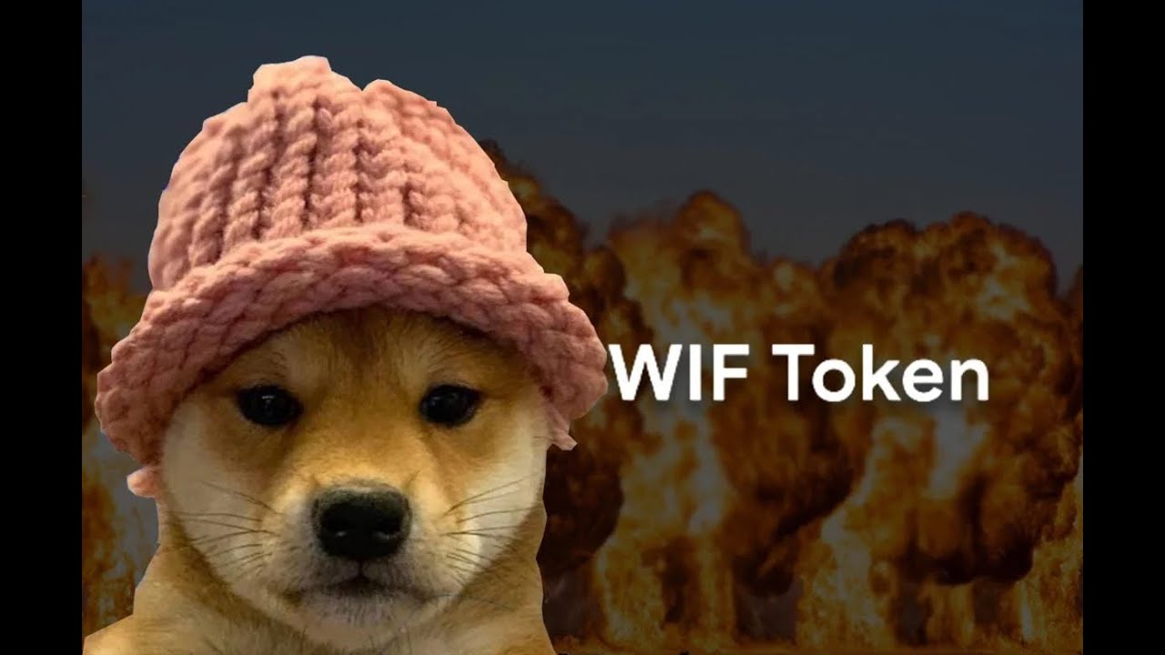WIF coin price targets 2024 - WIF token review