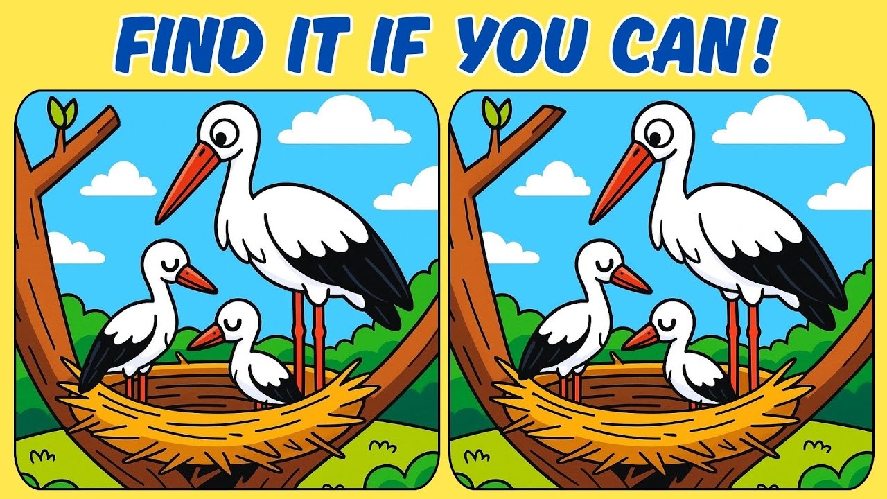🧠🧩Spot the Differences : A Real Brain Workout🧠🧩Brain Bang Bang