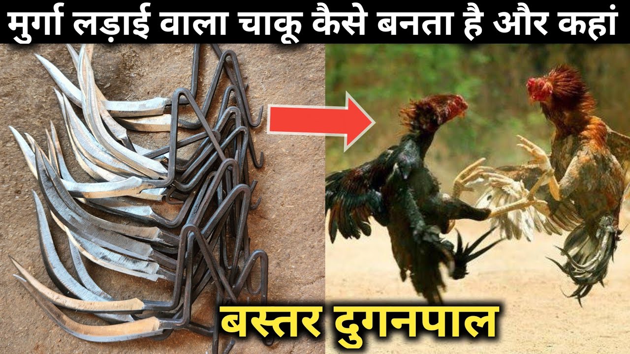 Как изготавливается нож для петушиных боёв? BastarOnline Chicken Bazaar