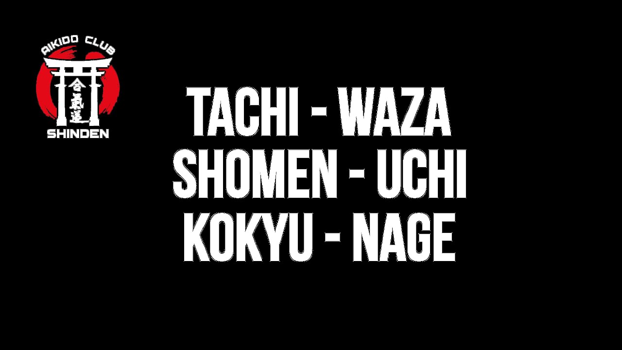 TACHI WAZA SHOMEN UCHI KOKYU NAGE. Школа айкидо SHINDEN.