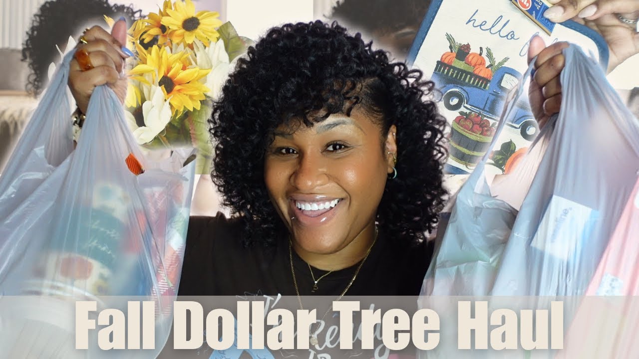 Dollar Tree Fall Haul 2024