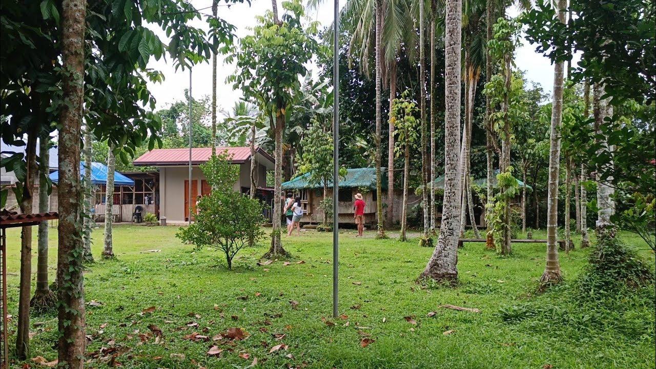 (P# 813) 2,961 sqms Farm Lot @ 6M net price palibot na ng bakod sa Pila, Laguna