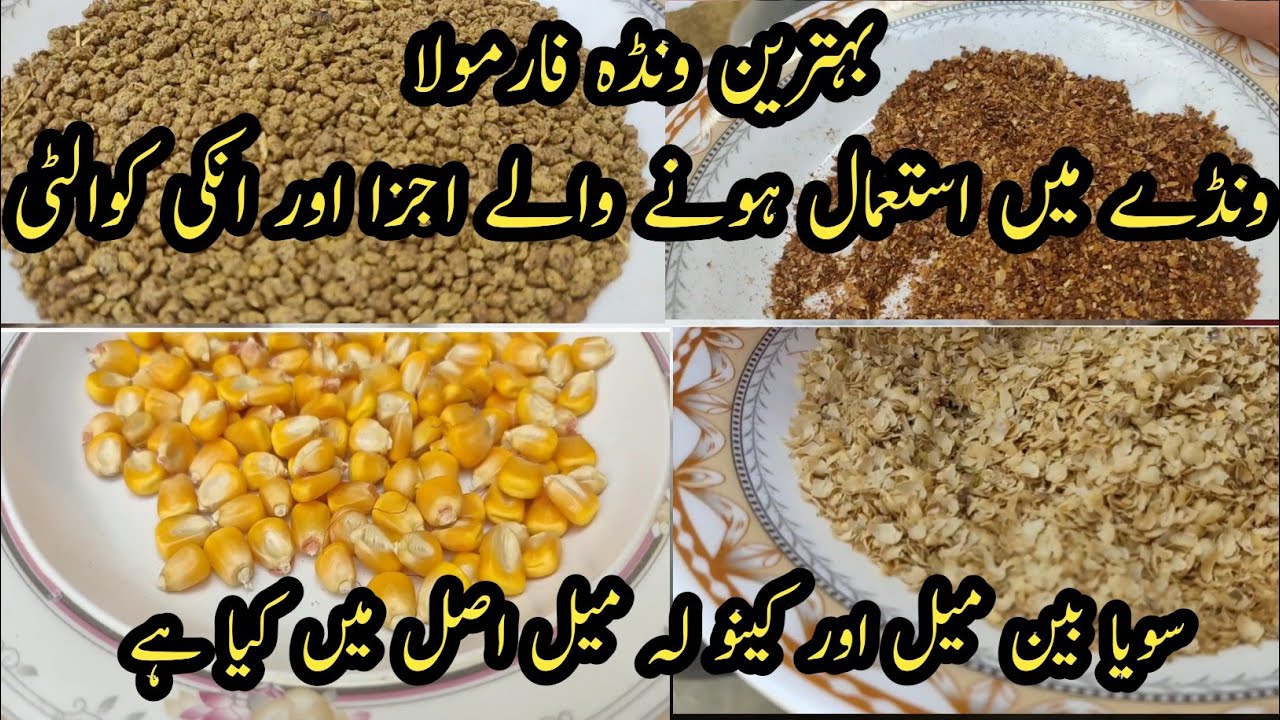 Wanda formulation I Best Wanda items I best Wanda items and  quality I Soya bean mean & canola meal