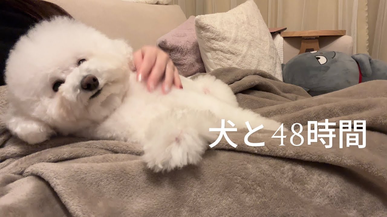 犬と20代女性の2日間。