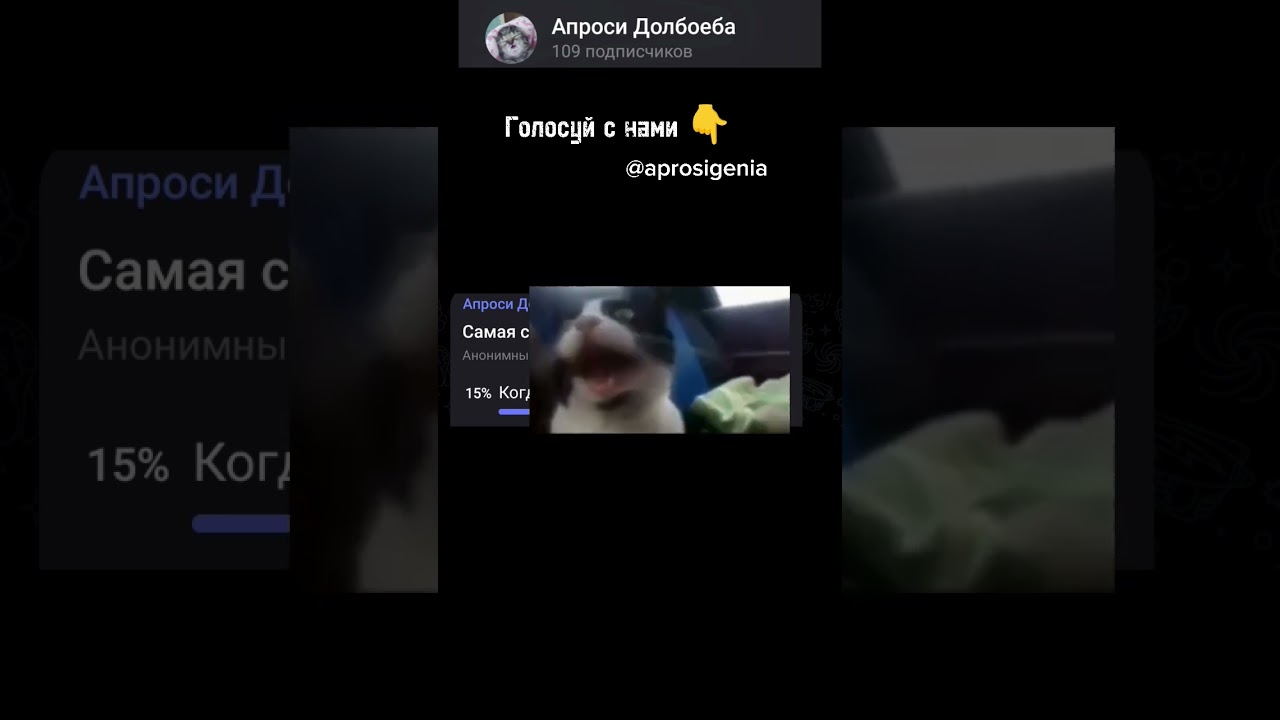 #fyd #мем #мемы #рек #реки #рекомендации #хахах