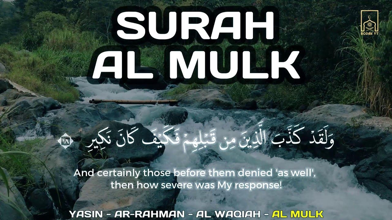 Soothing Quran for Sleep | Surah Yasin, Al-Mulk, Ar-Rahman, Al-Waqiah Recitation