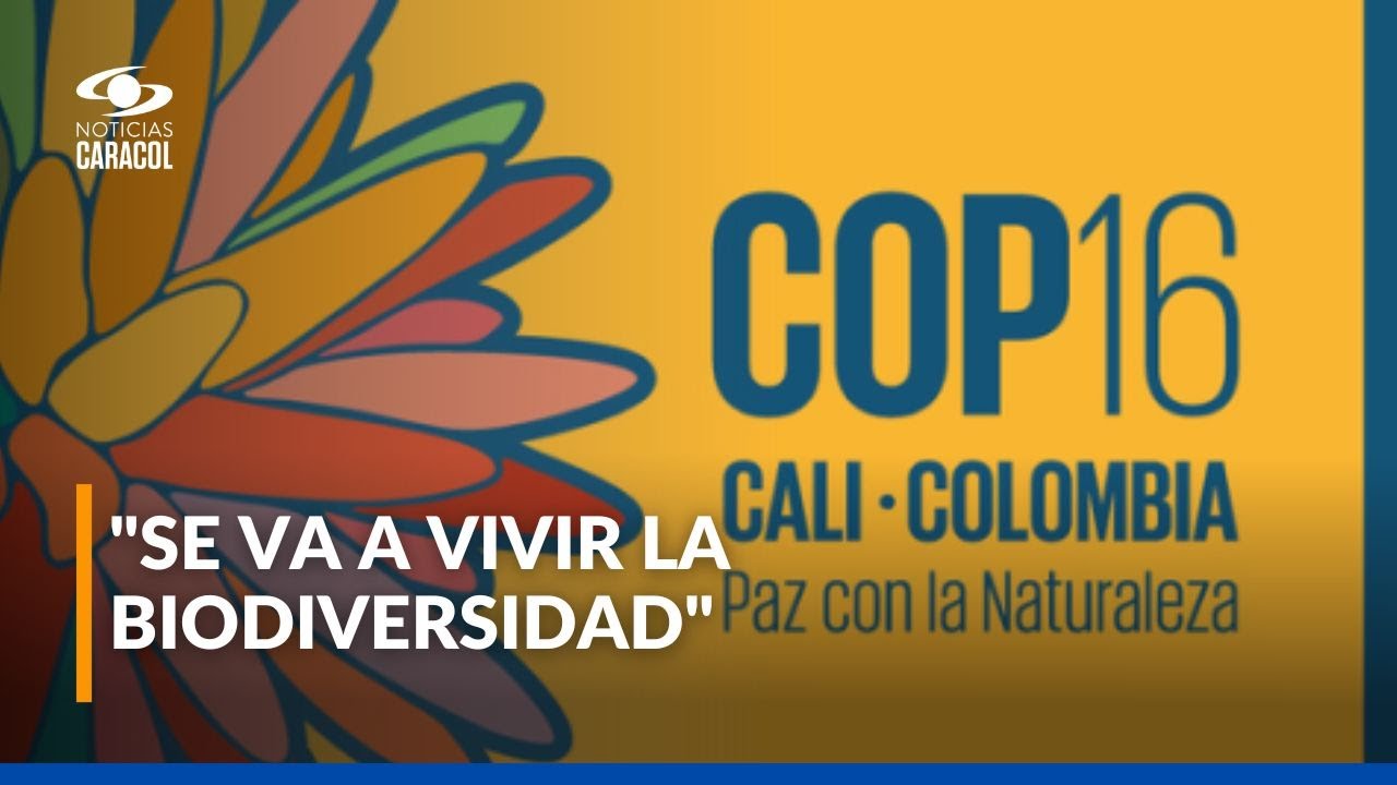¿Qué viene para Cali y el Valle del Cauca con la COP16?