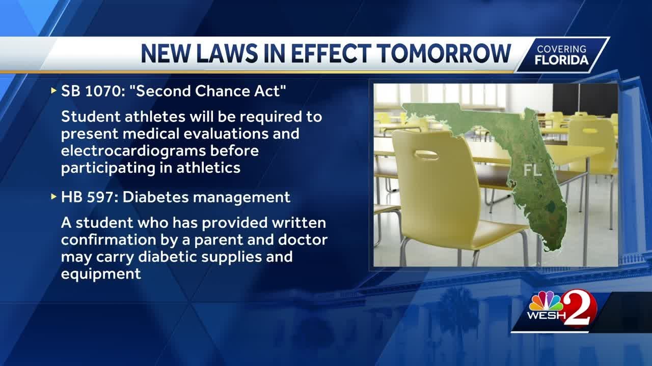 New laws take effect in Florida on July 1: Here's what to know