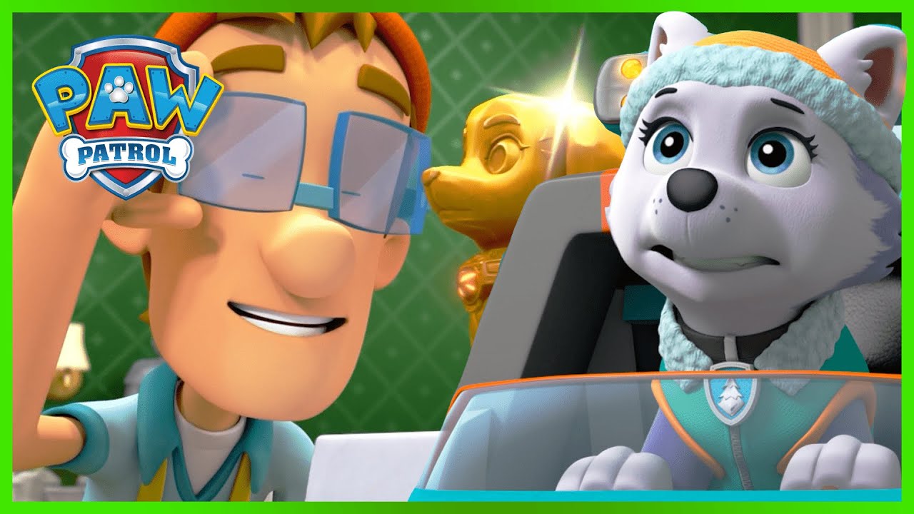 Pups save the Jungle with Tracker and Carlos! - PAW Patrol - Cartoons for Kids Compilation