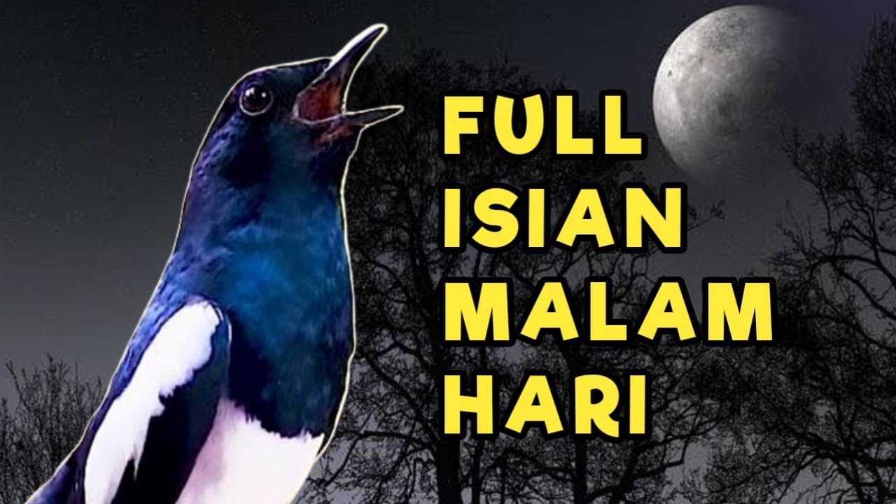 MASTERAN KACER GACOR FULL ISIAN MALAM HARI AMPUH MERANGSANG EMOSI DAN CEPAT BONGKAR ISIAN