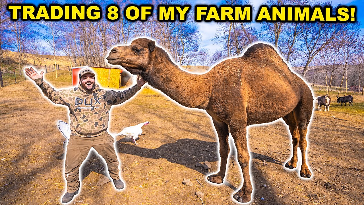 TRADING My BACKYARD Farm Animals for NEW ONES!!!