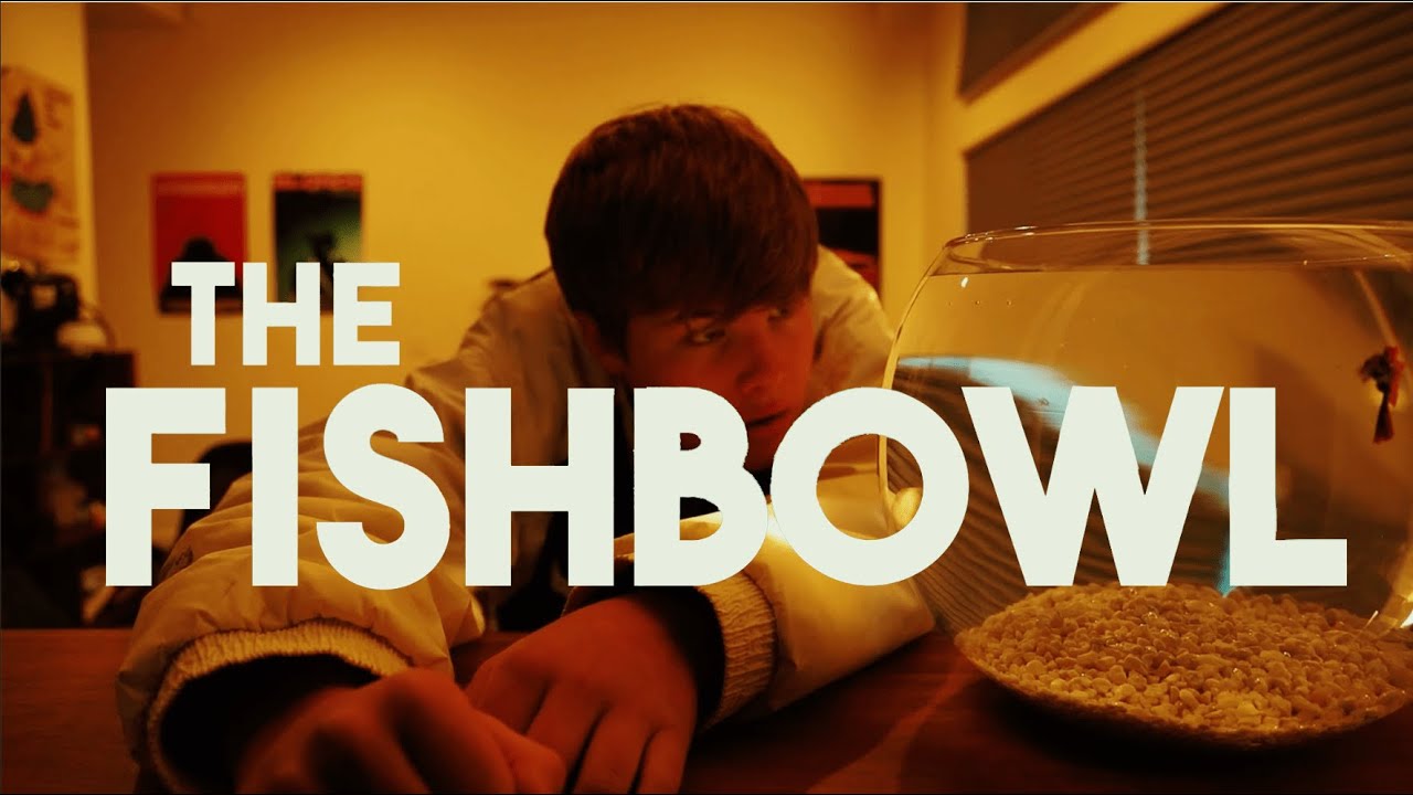 The Fishbowl