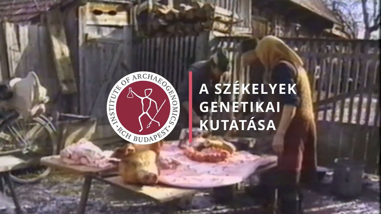 Székelyek genetikai kutatása