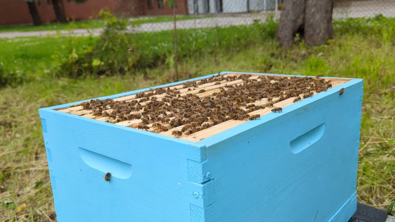 First beehive. Part 3