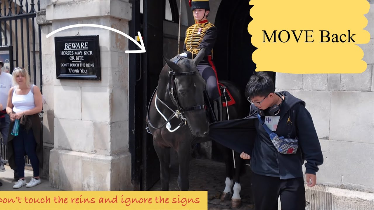 SILLY IDIOTS RUDE IGNORED THE SIGNS, MESSED THE HORSE AND THIS HAPPENED!!!
