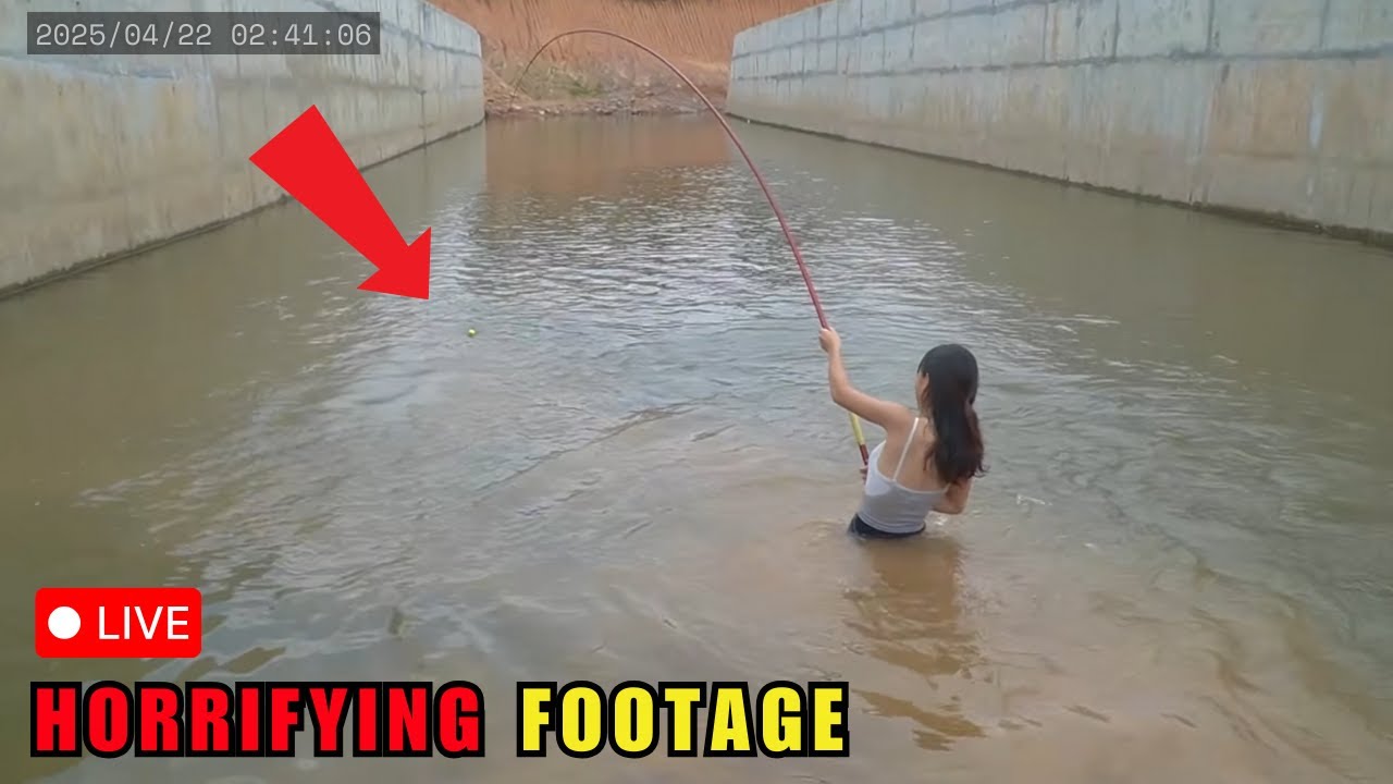 100 Shocking Fishing Encounters Caught on Camera | Live