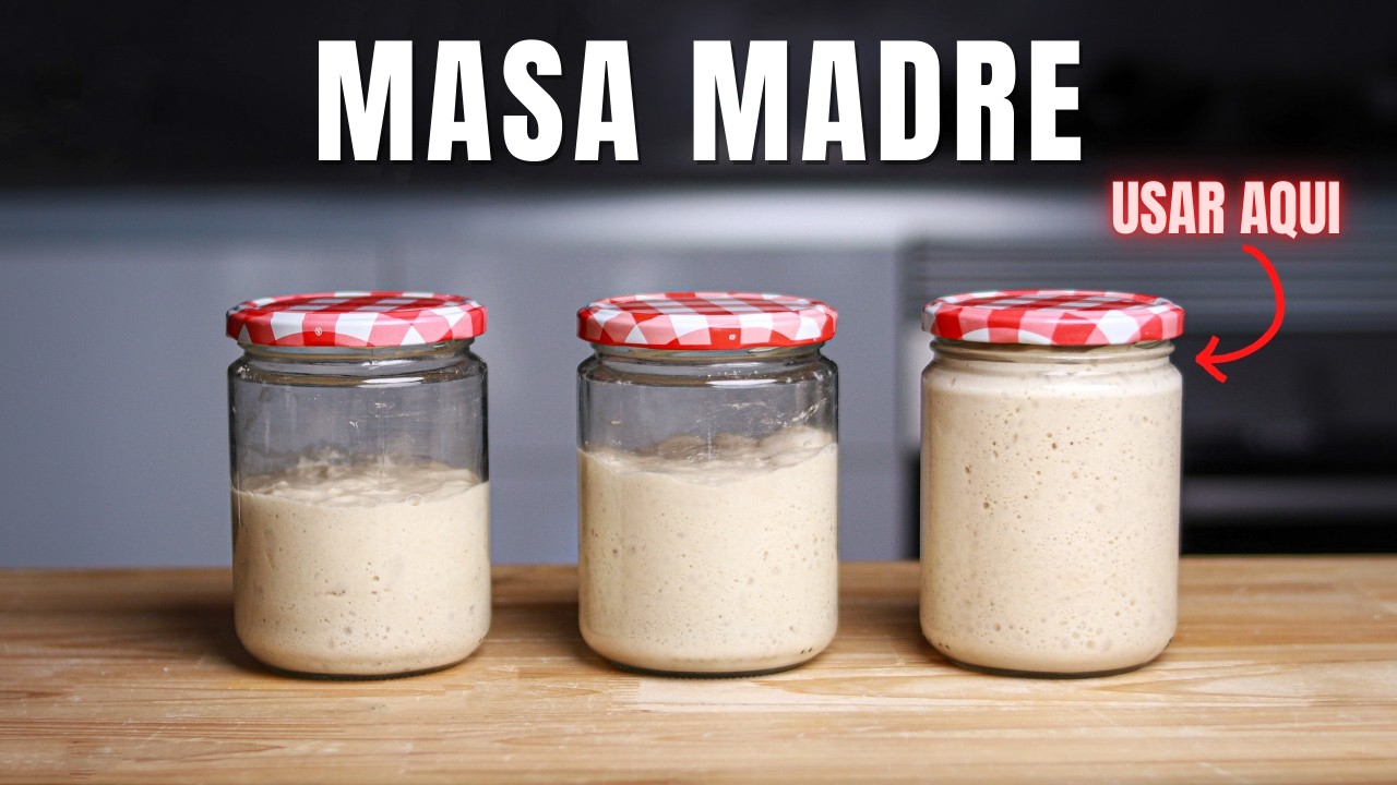 ¿Cuándo uso mi masa madre? Entendiendo ratios, refrescos, tiempos y a tu masa madre