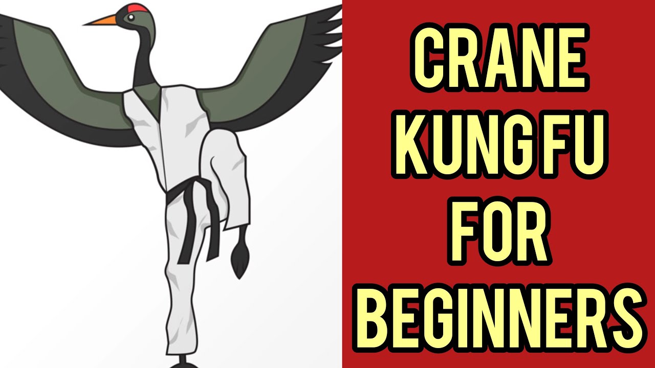 Talk about Crane Kung fu techniques / Q & A Common problem of crane KF / 鹤拳常见问题问答￼