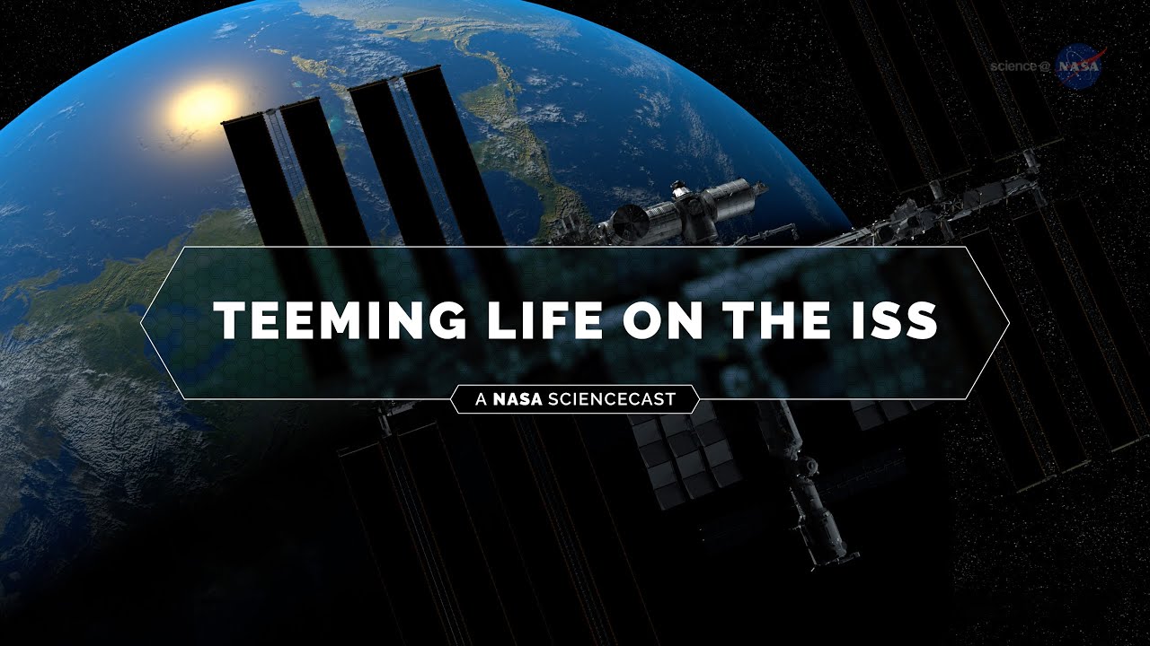 NASA ScienceCasts: Teeming Life on the ISS