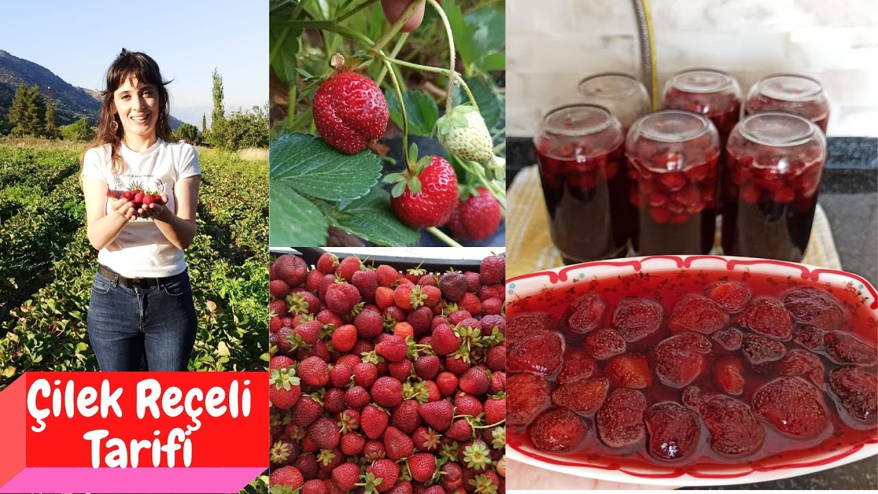 ÇİLEK BAHÇESİNDEN TOPLADIĞIM ÇİLEKLERDEN ÇİLEK REÇELİ YAPTIM