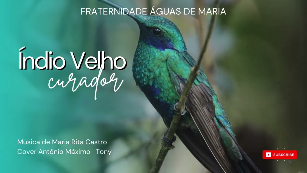 &Iacute;ndio velho curador - Ant&ocirc;nio M&aacute;ximo (cover)- Maria Rita Castro