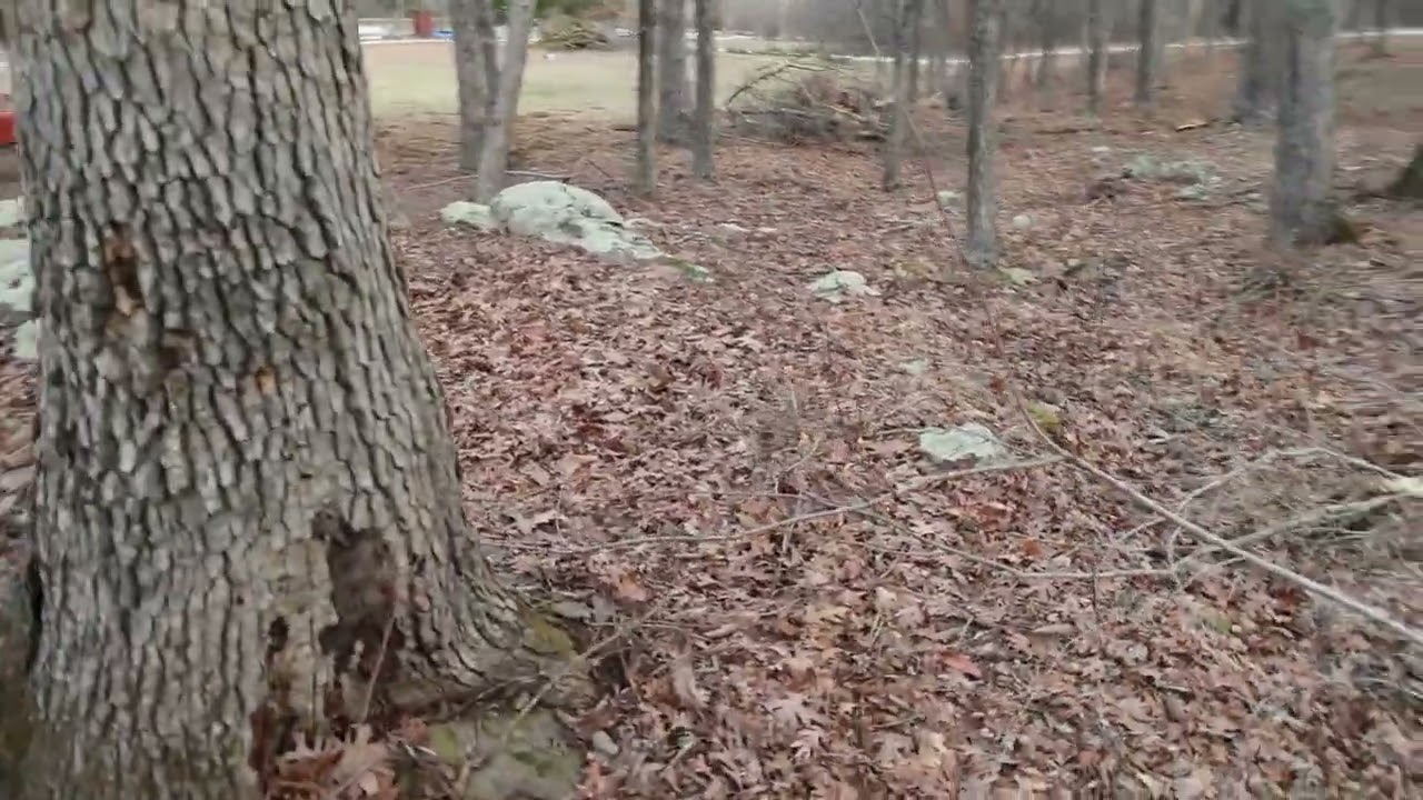 Clearing This Land Has Been An Uphill Climb