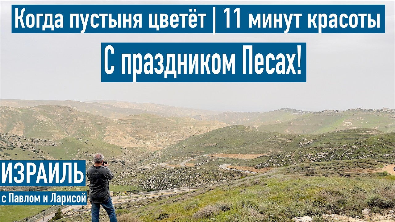 Израиль | С праздником Песах | Когда пустыня цветёт | 11 минут красоты