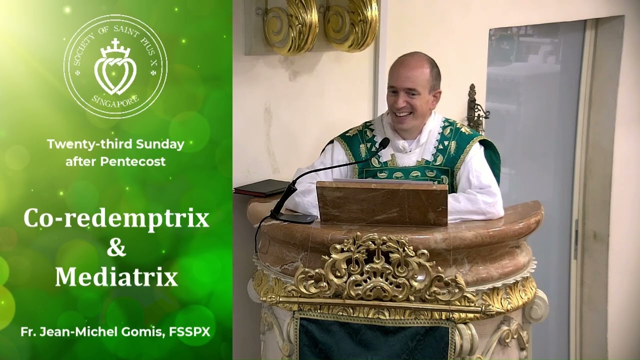 Co-redemptrix And Mediatrix - Sermon by Fr Gomis (16 Nov 2025)
