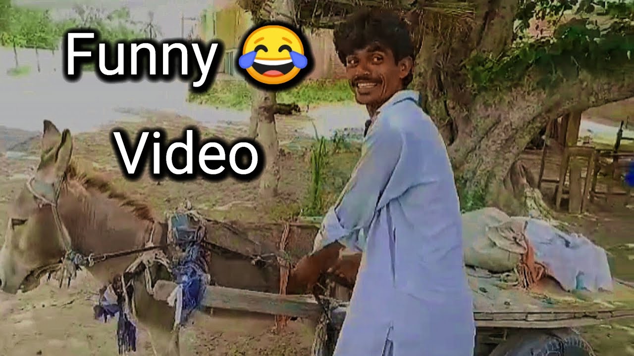 Funny 😂 Videos