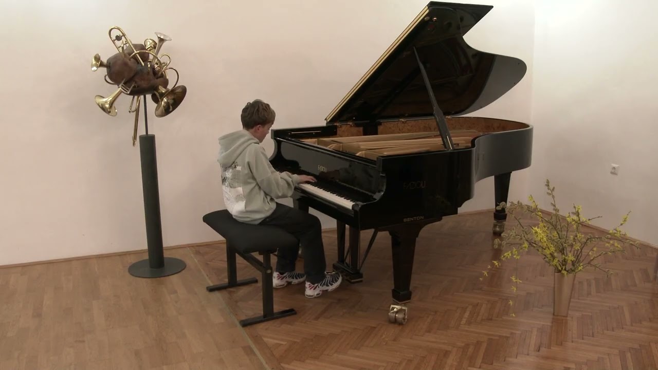 WORLD OPEN ONLINE MUSIC COMPETITION - VITAN HAMERŠAK - PIANO