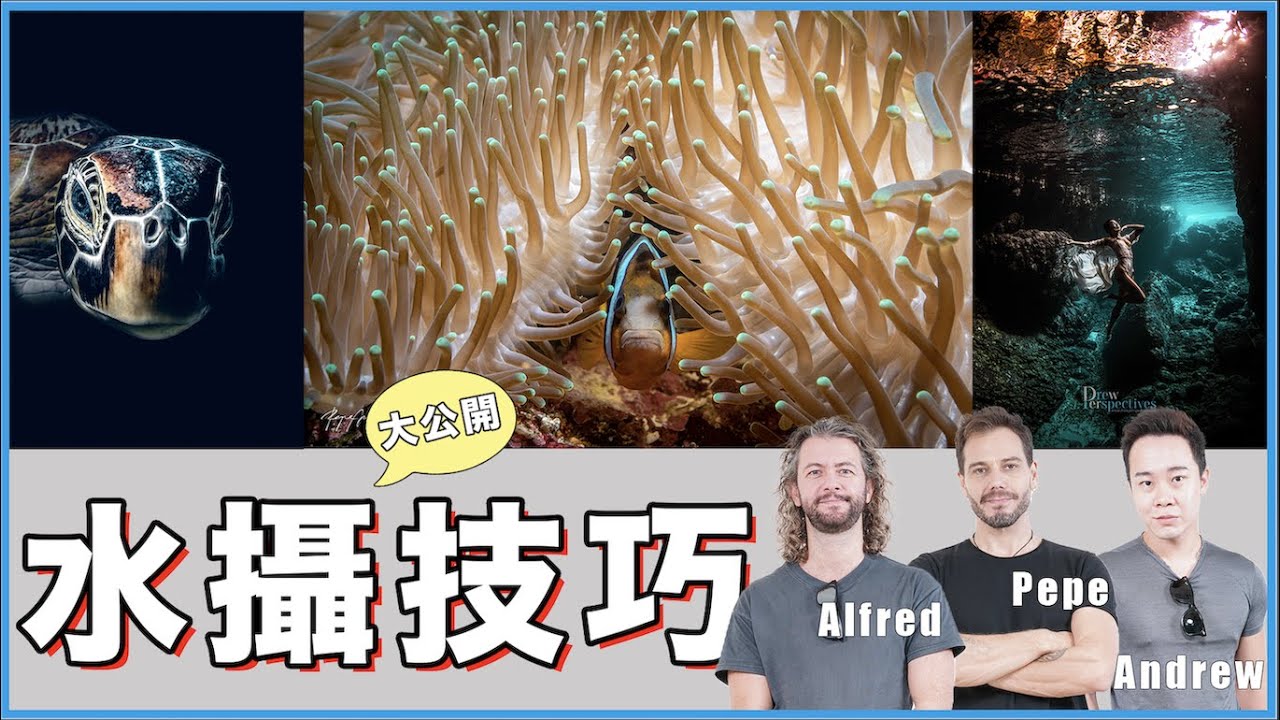 水下攝影技巧大公開 !! 攝影師們看過來~~  ｜【超i潛水】