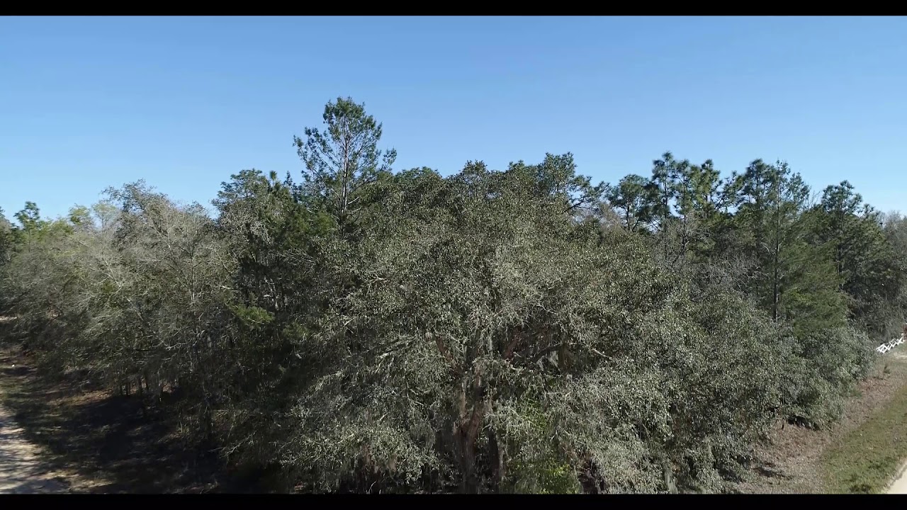 INTERLACHEN LAKES ESTATES 0.48 ACRE BUILDABLE WOODED OVERSIZED CORNER LOT