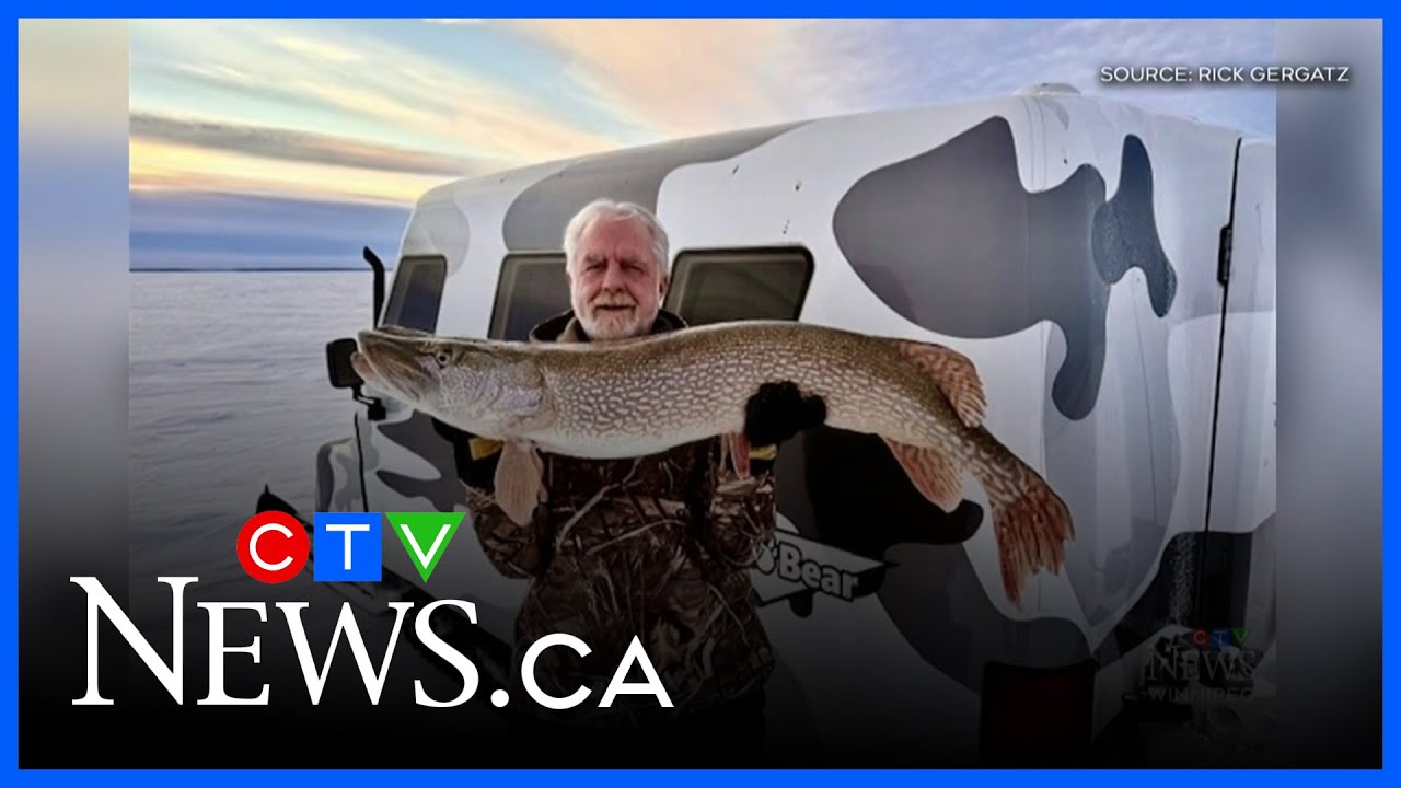 Big fish reeled in in Manitoba