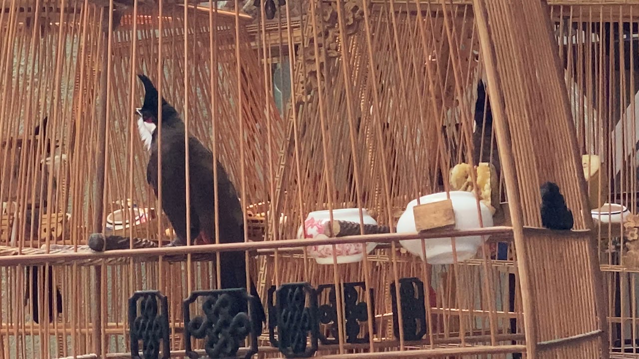 CHIẾN BINH LỐI ĐÁNH ĐẸP MẮT NHẤT NHÀ HIỆP ĐỒNG NAI ( đại từ )