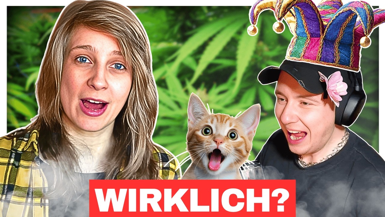Sarahsveganspace verteidigt Koerbis Umgang mit seiner Katze?