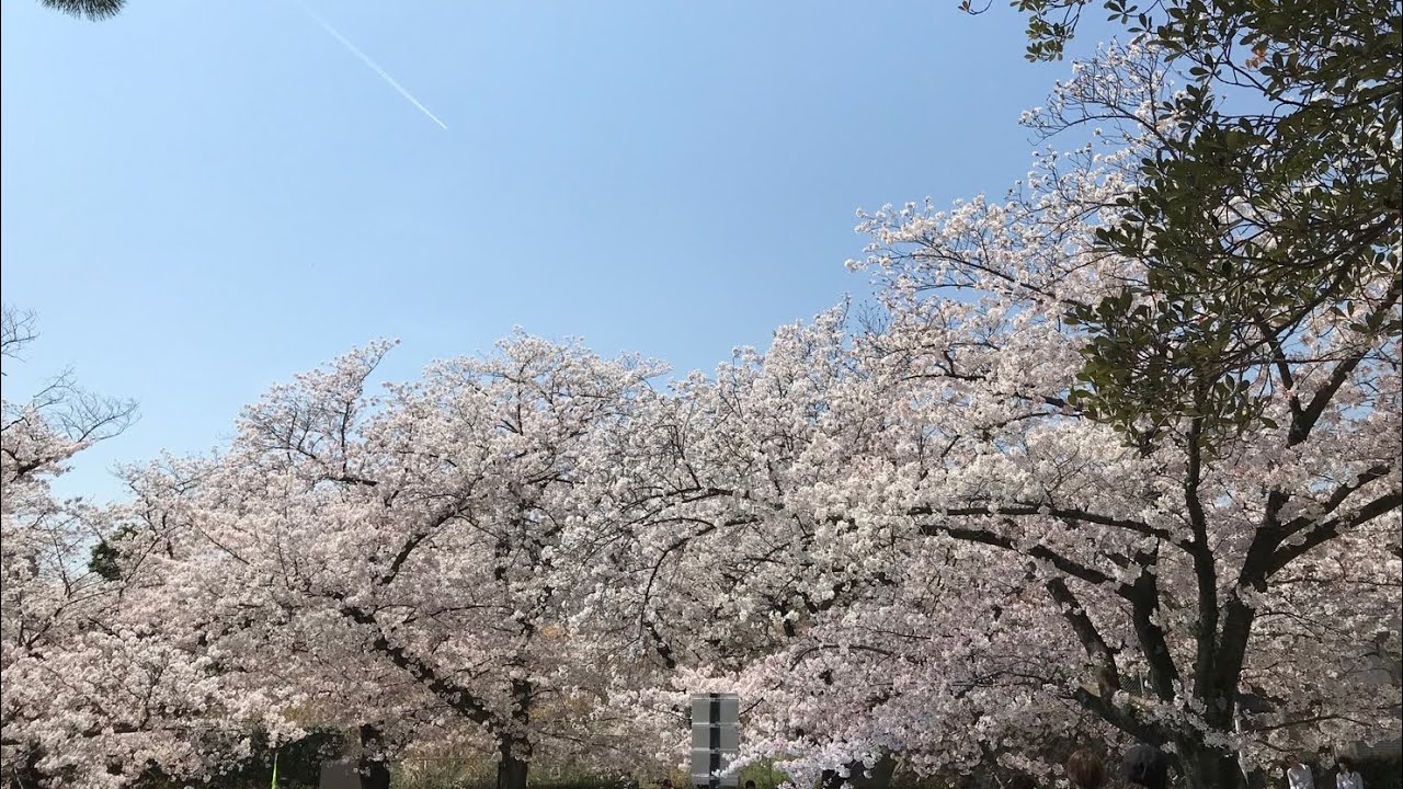 ピアノオリジナル曲　桜空