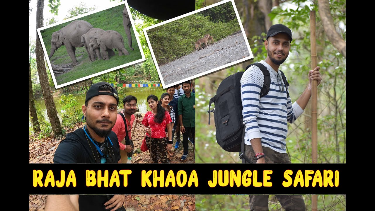 Raja Bhat Khaoa Jungle Safari | রাজা ভাত খাওয়া জঙ্গল সাফারি | Buxa Tiger Reserve |