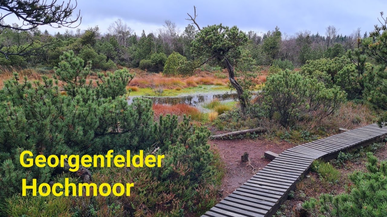 Georgenfelder Hochmoor