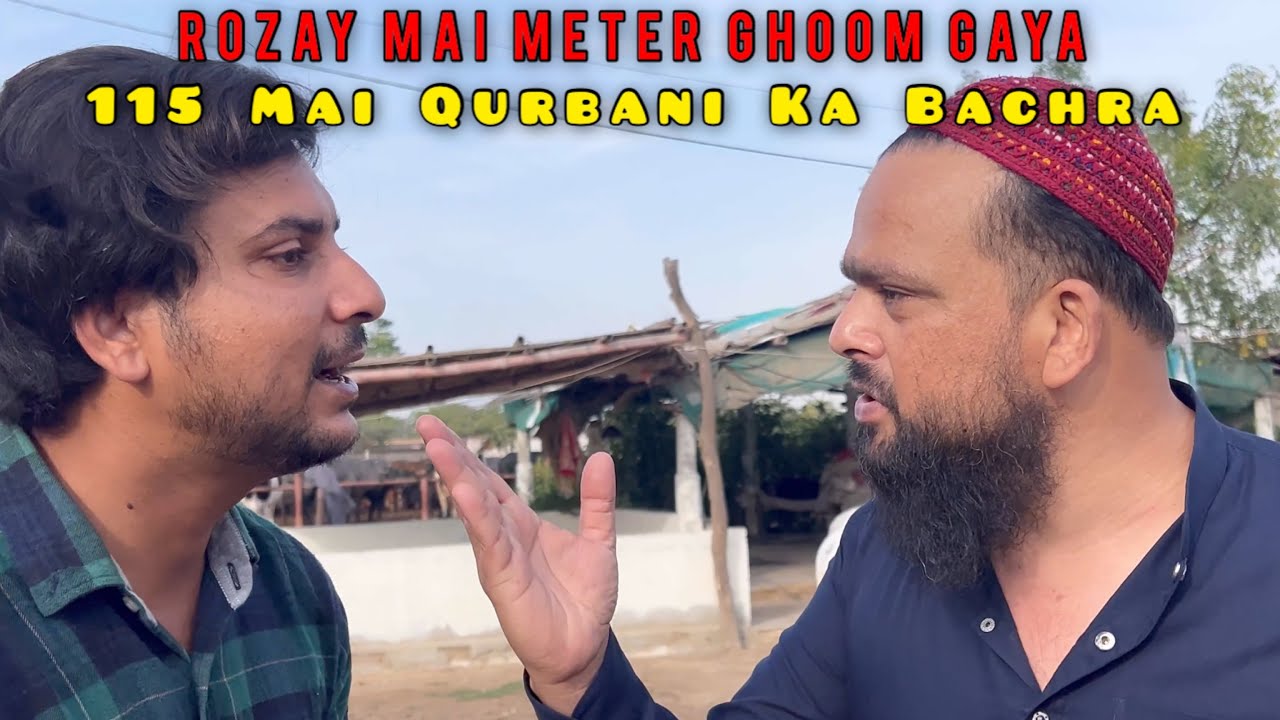Zeeshan Bhai Ka Rozay Mai Meter Short | Qurbani Ka Bachra Sirf 1 Lakh 15 Hazar Mai | Amazing Cattles
