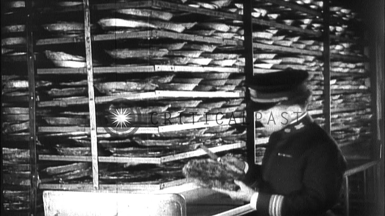 Life aboard the American troopship, SS Leviathan, during World War I. HD Stock Footage