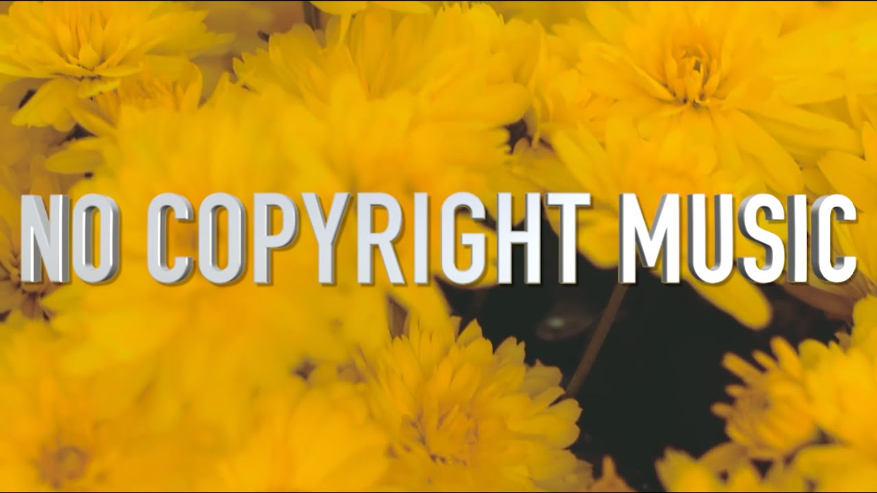 Bright Morning - Music For Content Creators (No Copyright)