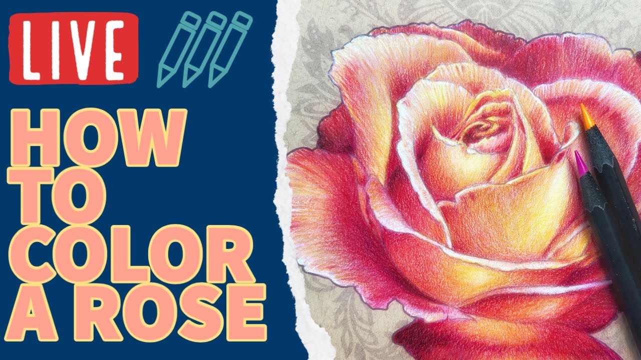 How To Color A Rose WITH COLORED PENCILS
