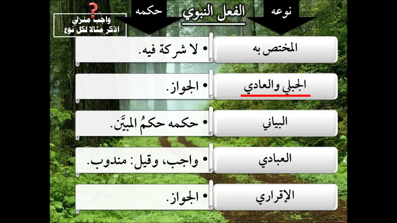 دلالات فعل النبي | الجبلي والعادي | عامر بهجت