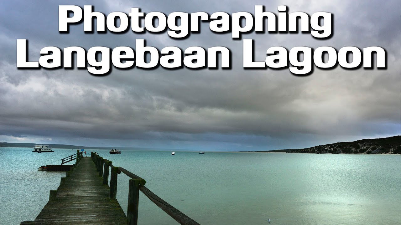 Photographing Langebaan lagoons flamingos and waterscapes in the West Coast Park
