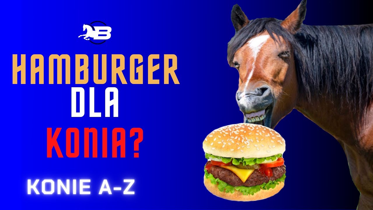 Żywienie Koni | Konie A-Z | Czym można je karmić? Pasze, warzywa, smakołyki