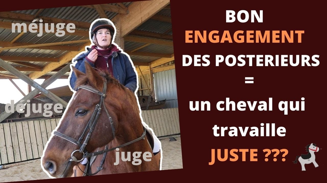 Engagement des postérieurs : Comment savoir si mon cheval travaille juste ?  Explication et exercice