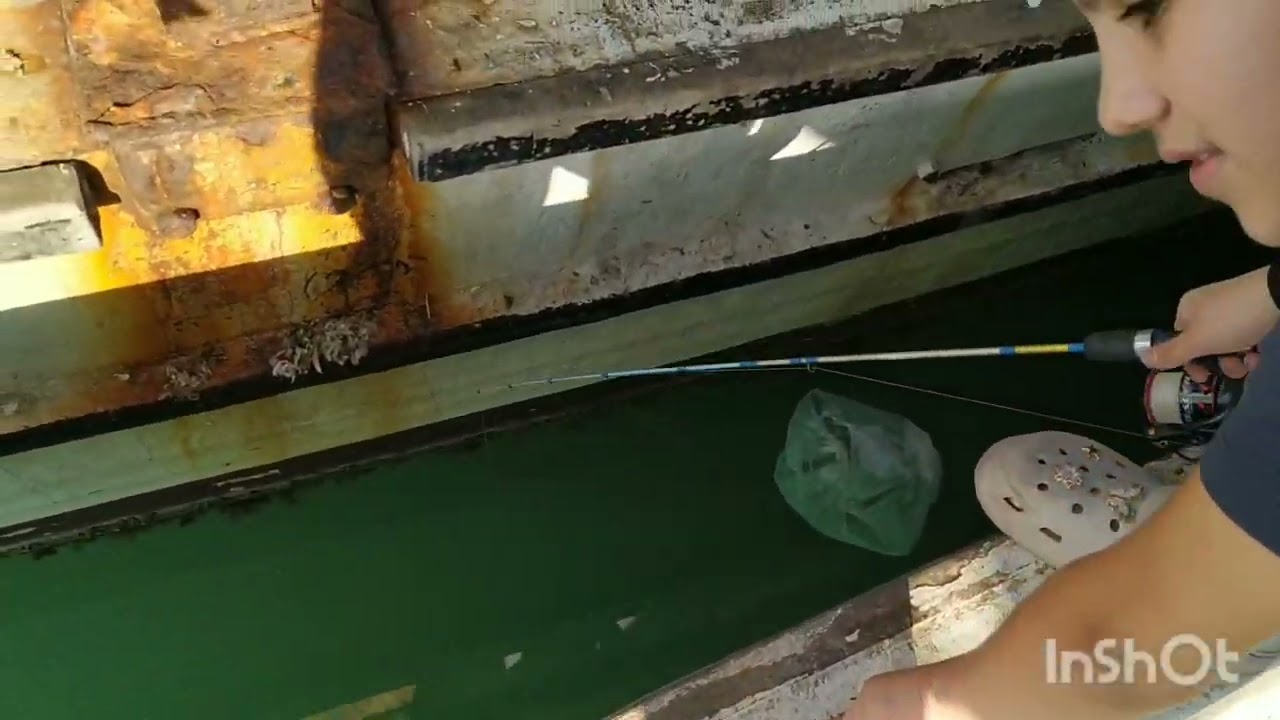 29.06.2025 Karataş Liman.. Deniz'den kefal show..