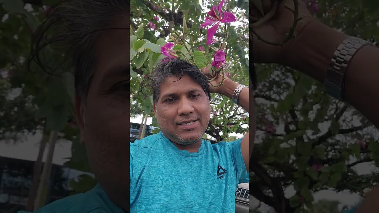 ক্রিকেট বিশ্বকাপ বয়কট! সিদ্ধান্ত তা সঠিক? টিভি সম্প্রচার ও বন্ধ হবে? 