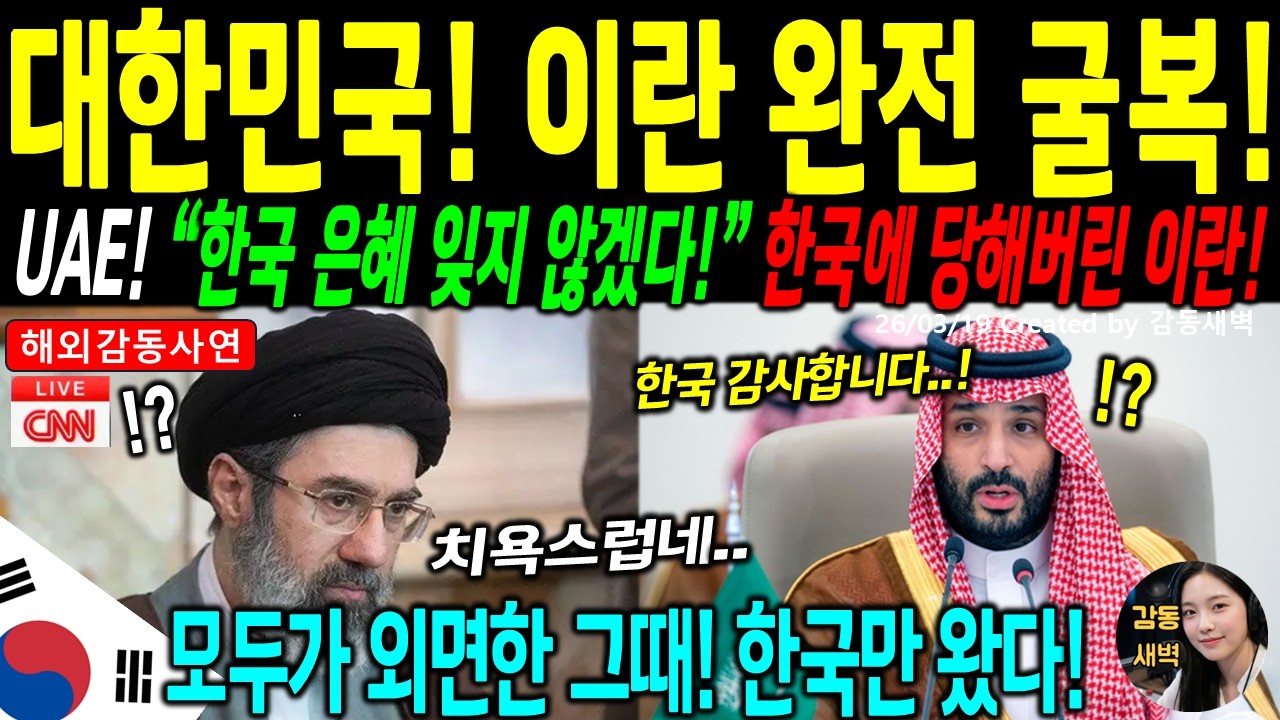 [해외감동사연]  미국 18개월 기다리라던 UAE 방공망, 한국이 19일 만에 해결? 이란 72시간 총공격에 '비호복합' 17발 전량 격추!